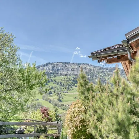 Chalet Diamant * Praz-sur-Arly